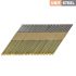 Stripnagels D-KOP 3,1X75mm Ring-RVS